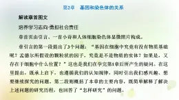 人教版高中生物必修2第2章基因和染色體的關(guān)系第1節(jié)減數(shù)分裂和受精作用第1課時(shí)減數(shù)分裂課件+檢測(cè)含答案(教師用)