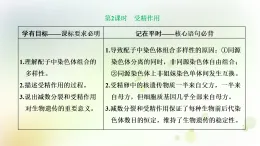 人教版高中生物必修2第2章基因和染色體的關(guān)系第1節(jié)減數(shù)分裂和受精作用第2課時(shí)受精作用課件+檢測(cè)含答案(教師用)