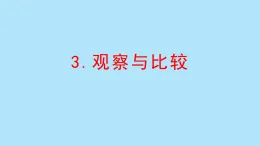 教科版二年級科學(xué)下冊 2.3觀察與比較(課件)