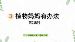 统编版语文二年级（上册）3.植物妈妈有办法 第2课时（2025版新教材）PPT课件