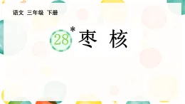 統(tǒng)編版三年級(jí)下冊(cè)語(yǔ)文課件28 棗核