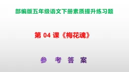 （新）部編版五年級(jí)語文下冊第 04 課《梅花魂》素質(zhì)提升練習(xí)題A3+（參考答案）PPT