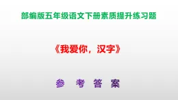 （新）部編版五年級(jí)語文下冊《我愛你，漢字》素質(zhì)提升練習(xí)題A3+（參考答案）PPT