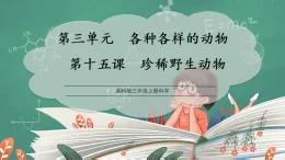 【核心素養(yǎng)】湘科版三上科學  3.15 珍稀野生動物(課件+教學設(shè)計表格式+分層作業(yè)含答案)