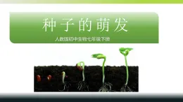 人教版 初中生物 七年級(jí)下冊(cè) -《種子的萌發(fā)》課件
