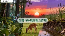 5.1.1 生物與環(huán)境的相互作用-2025-2026學(xué)年人教版2024新教材生物八年級上冊同步教學(xué)課件