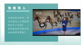 人教版生物八年級上冊5.1.1《生物與環(huán)境的相互作用》課件