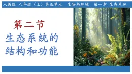 人教版生物八年級上冊5.1.2《生態(tài)系統(tǒng)的結(jié)構(gòu)和功能》課件