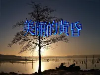 2020-2021学年美丽的黄昏优质课件ppt