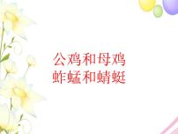 小学花城版欣赏 乐曲《公鸡和母鸡》说课课件ppt