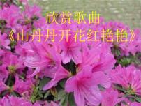 2021学年第十一课山丹丹开花红艳艳课前预习课件ppt