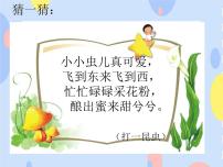 小学音乐接力版一年级下册（演唱）小蜜蜂教课课件ppt