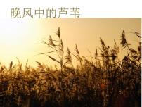 人音版五年级上册晚风示范课课件ppt