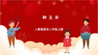 小学音乐唱歌 种玉米优秀课件ppt