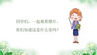 小学音乐人音版六年级上册茉莉花（江苏民歌）授课课件ppt