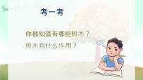 小学音乐大树妈妈教学ppt课件