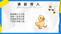 小学音乐人教版（2024）一年级上册（2024）数鸭子图片课件ppt