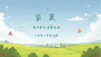 小学音乐人音版2024（五线谱）（李心草）一年级上册（2024）聆听 袋鼠完整版课件ppt