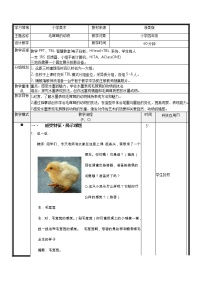 小学美术浙美版四年级上册9 毛茸茸的动物教学设计