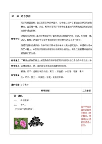 小学美术苏少版四年级上册18 适合纹样教学设计