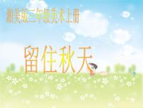 湘美版三年级上册第11课 留住秋天评课ppt课件