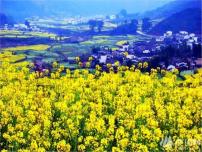 美术三年级上册第15课 我设计的自行车课堂教学ppt课件