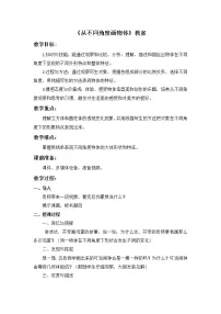 小学美术岭南版四年级下册3. 从不同角度画物体教学设计
