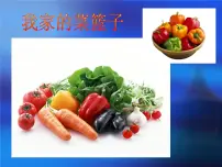 岭南版二年级上册9. 我家的菜篮子教案配套课件ppt