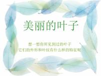 岭南版二年级上册7. 美丽的叶子教学ppt课件