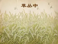小学湘美版第5课 草丛中教学ppt课件