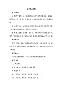 美术一年级下学期12.可爱的动物教学设计