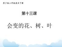 2021学年13 会变的花、树、叶多媒体教学课件ppt