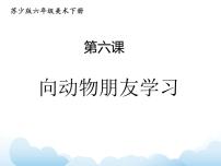 小学美术苏少版六年级下册6 向动物朋友学习背景图ppt课件