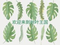 美术一年级上学期1.让大家认识我课文ppt课件