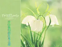 小学美术湘美版二年级下册第11课 小蜗牛慢慢爬备课ppt课件
