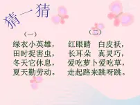小学美术湘美版二年级下册第19课 蹦蹦跳跳授课课件ppt