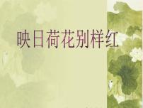 小学美术浙美版五年级下册18 映日荷花别样红课文配套课件ppt