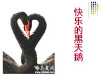 快乐的黑天鹅PPT课件免费下载