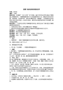 小学美术桂美版四年级下册15 精美的青铜器纹样教案