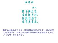 小学美术人教版五年级下册第11课 学画松树课堂教学课件ppt