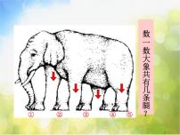 苏少版六年级下册16 奇妙的图形课文配套课件ppt