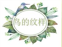 小学美术苏少版四年级下册8 鸟的纹样图片ppt课件