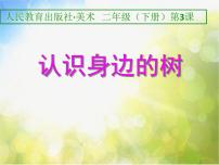 美术人美版3.认识身边的树教学ppt课件