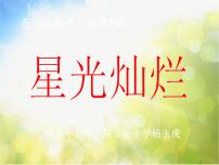 小学美术湘美版五年级下册第8课 星光灿烂课文内容ppt课件