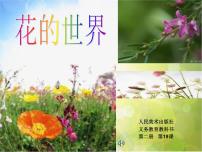 人美版一年级下册19.花的世界图文课件ppt