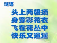 小学美术人美版一年级下册10.我和昆虫图片ppt课件