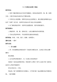 人美版一年级下册12.可爱的动物教案