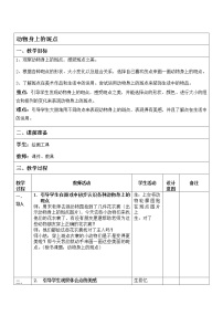 小学美术浙美版一年级上册17 动物身上的斑点教案