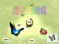 小学美术赣美版一年级下册第3课 漂亮的蝴蝶教学ppt课件