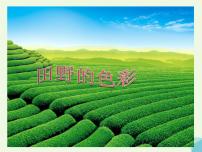 湘美版一年级上册第3课 田野的色彩图片课件ppt